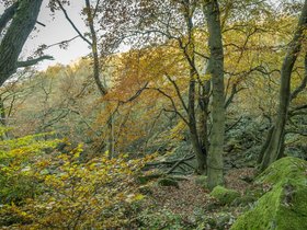 POTM Derbyshire Dales